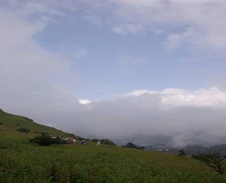 Visits to Mt. Shennongjia peaks