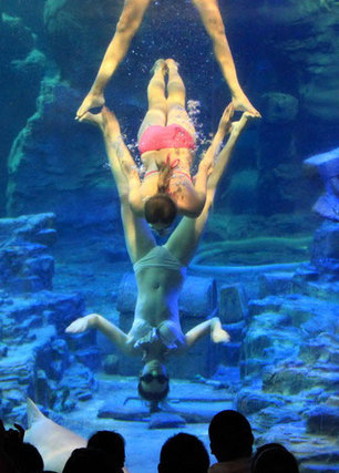 Underwater ballet blow Wuhan audience