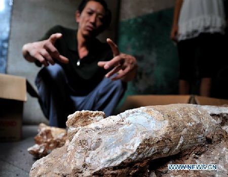 Fossilized elephant teeth discovered in C China