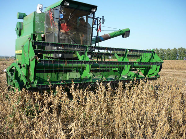 Good harvest is around China this autumn