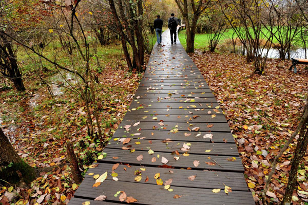 Autumn photos: Wetland view<BR>