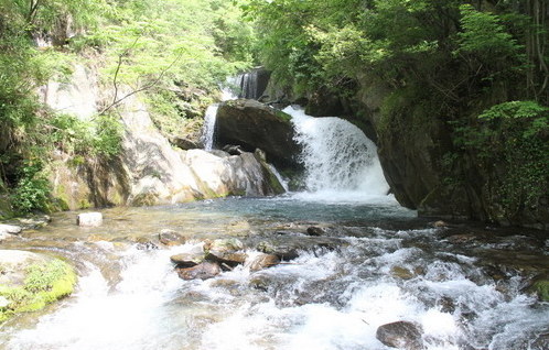 Shennongjia Forestry District