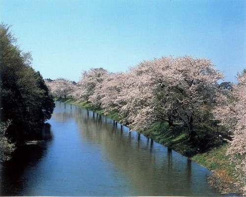 Yuexi·Peninsula Hot Spring Resort