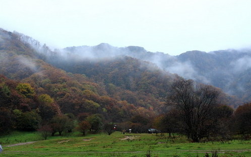 Shennongjia Forestry District