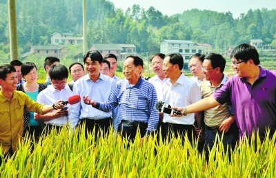 Super rice yield hits new record high