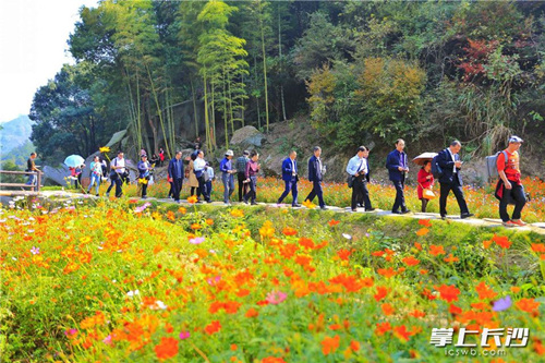 New forest park added to Changsha