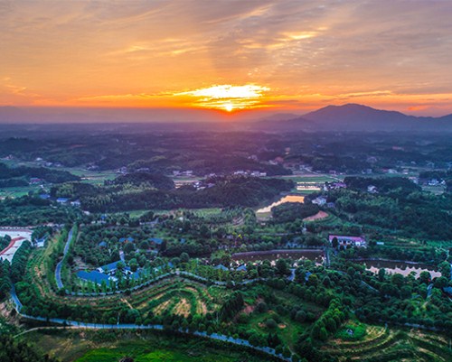 Tianmao Modern Farm