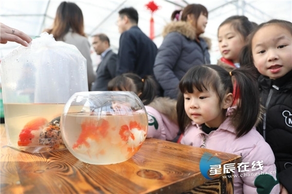 Changsha's Spring Festival flower fair opens