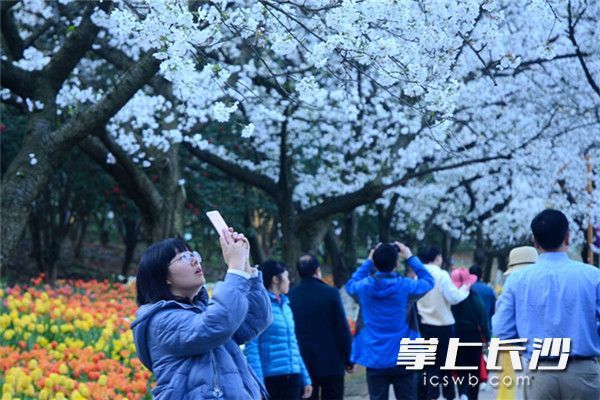 Hunan Forest Botanical Garden comes to life