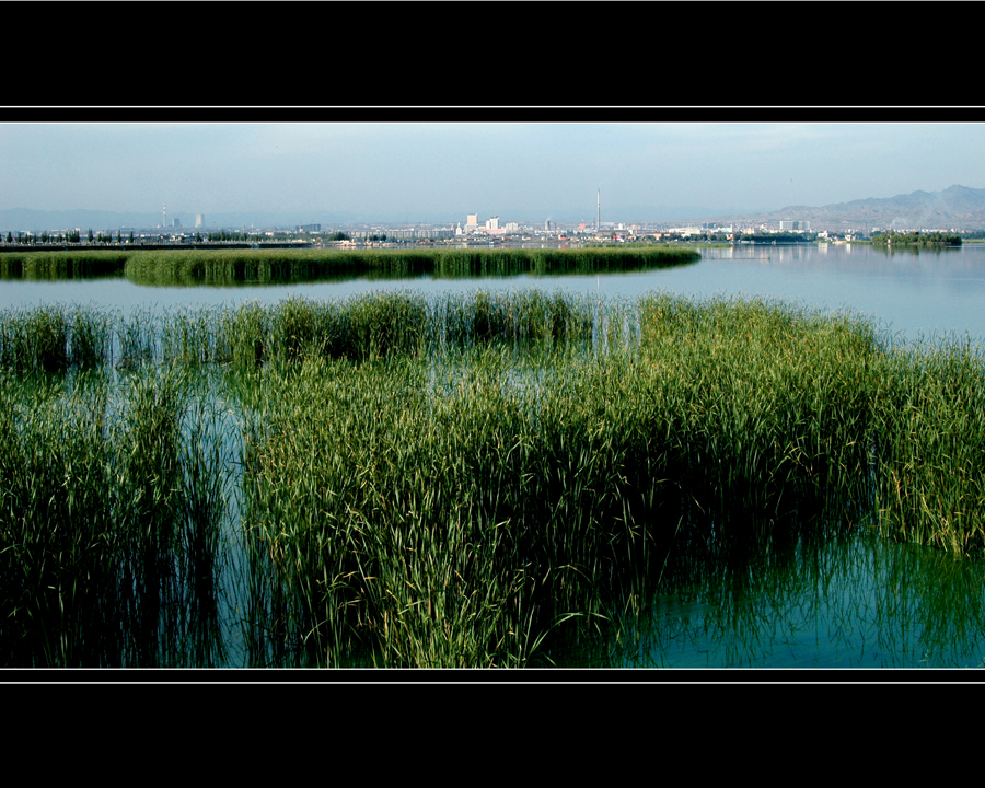 Nanhai Wetland Scenic Area