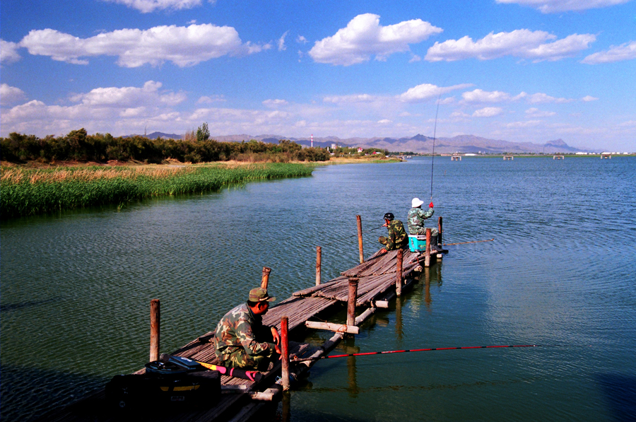 Nanhai Wetland Scenic Area