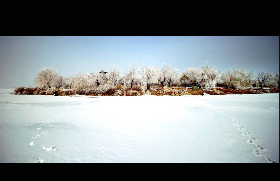 Nanhai Wetland Scenic Area