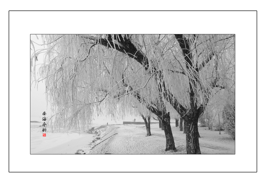 Nanhai Wetland Scenic Area