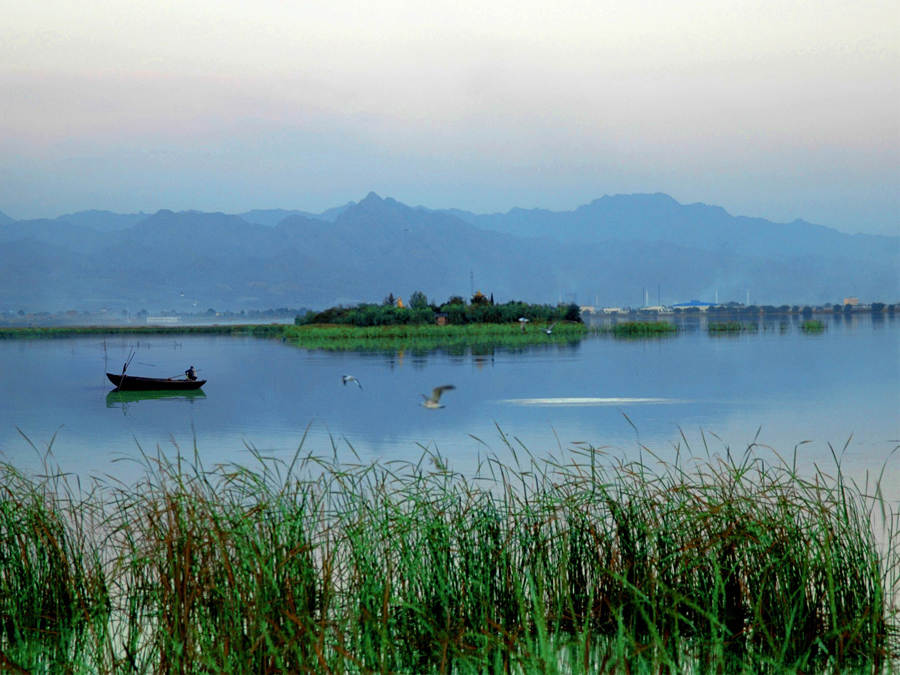 Nanhai Wetland Scenic Area