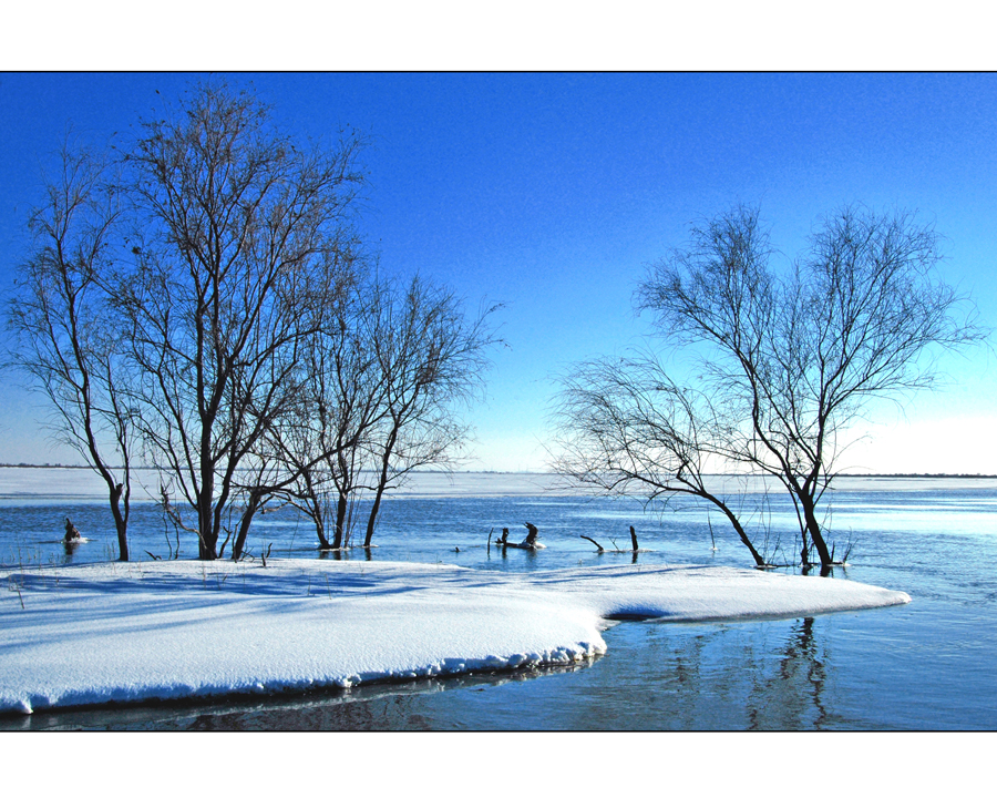 Nanhai Wetland Scenic Area