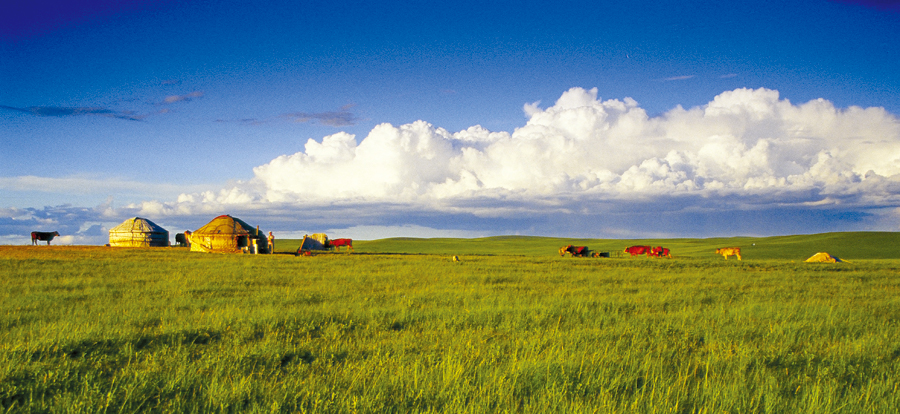 Xilamuren Grassland