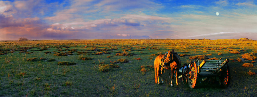 Xilamuren Grassland