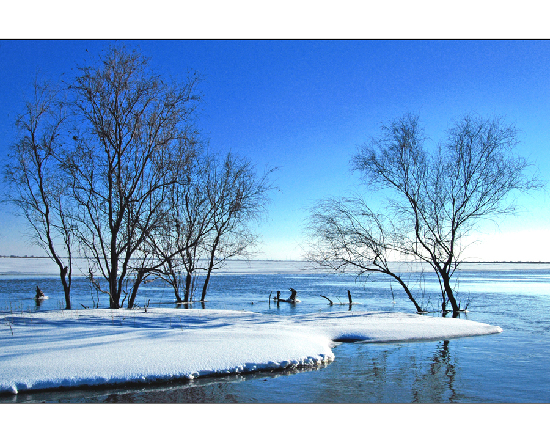 Bus routes to scenic spots in Baotou