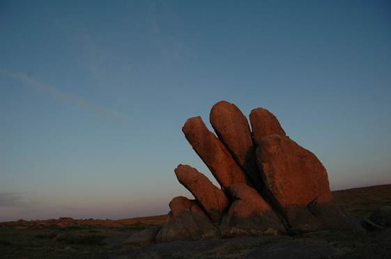 Grassland rock painting