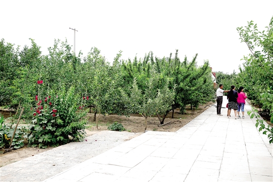 Baotou on its way to becoming an ecological city