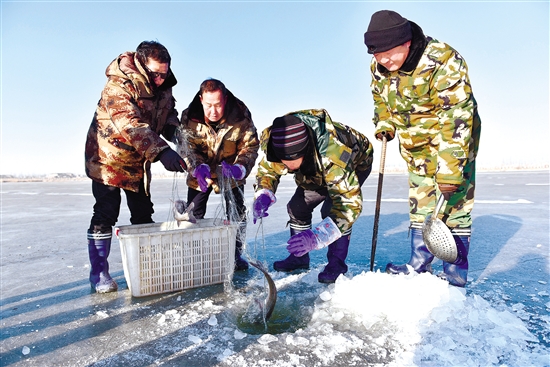 Nanhai Wetland hosts first winter fishing event