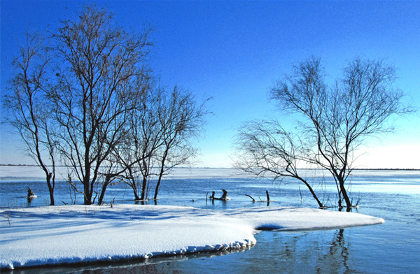 Nanhai wetland scenic offers free admission