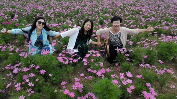 Flowers decorate Baotou grassland