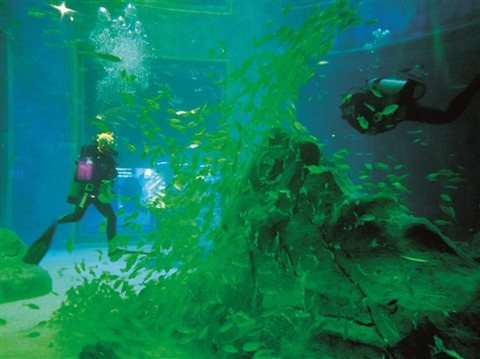 Baotou opens largest aquarium in Inner Mongolia