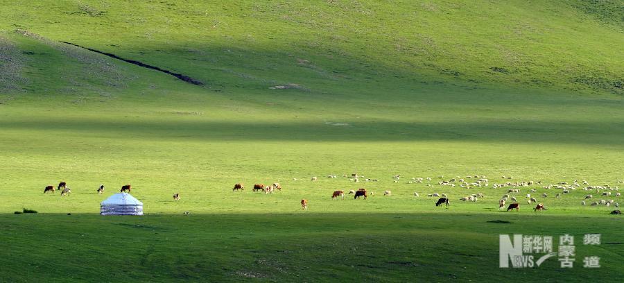 Inner Mongolia welcomes a Chinese Important Agricultural Heritages System