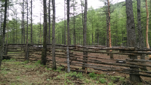 Inner Mongolia seeks to build ecological shelter