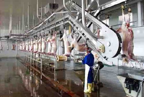 Inner Mongolia builds pollution-free mutton industry