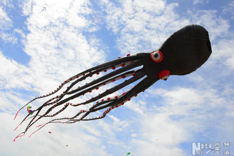 Kites fly high over grassland