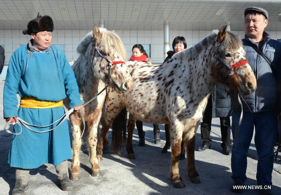 Gifts sent from Mongolian president arrive in Erenhot