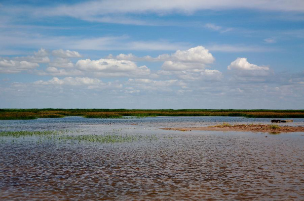 Inner Mongolian lake shrinks 30% due to human activities