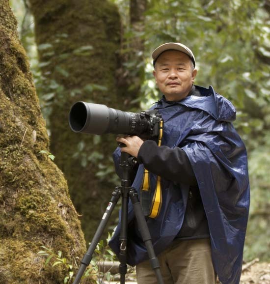 An ecological photographer’s works on golden snub-nosed monkeys