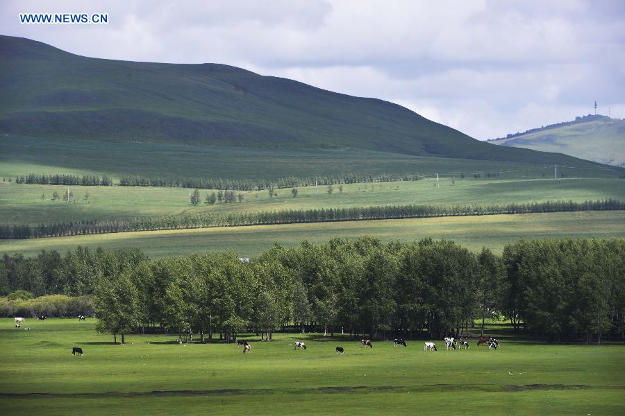 Autumn scenery in N China's Inner Mongolia