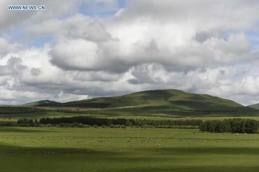 Autumn scenery in N China's Inner Mongolia