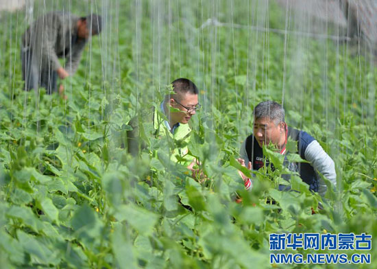 Internet-based foods supply gets popularity in Hohhot