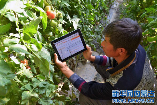 Internet-based foods supply gets popularity in Hohhot