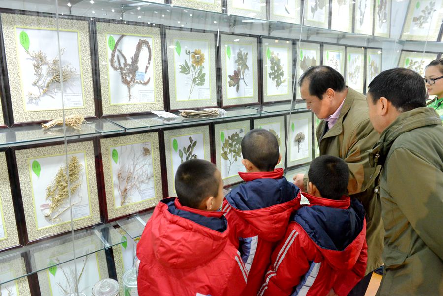 Inner Mongolia welcomes first comprehensive biological specimen museum