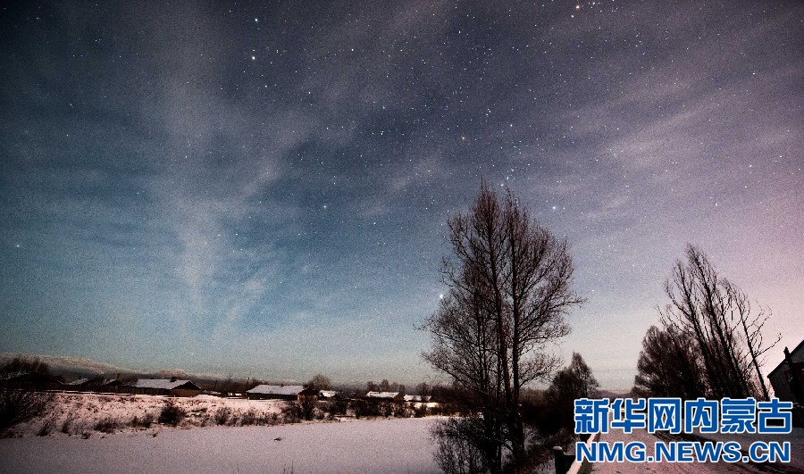 Spectacular starry night in Inner Mongolia forest