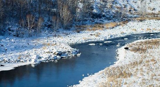 A tour of snow and ice