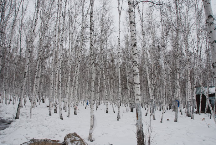 A tour of snow and ice