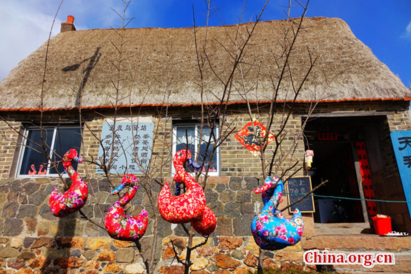 Swan nature reserve in Yandunjiao Village