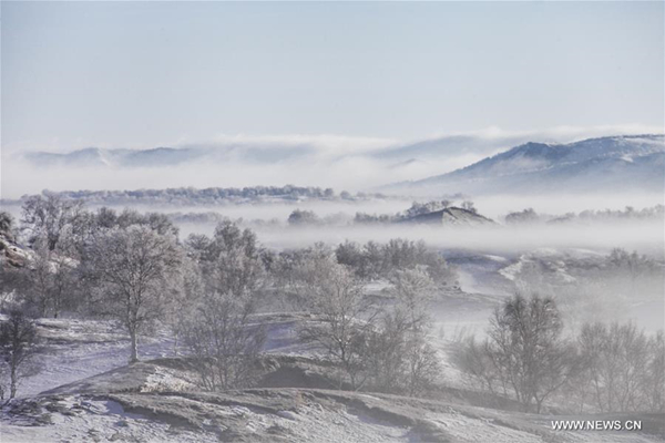 Rime scenery seen in Hexigten Banner, Inner Mongolia