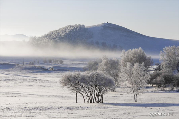 Rime scenery seen in Hexigten Banner, Inner Mongolia