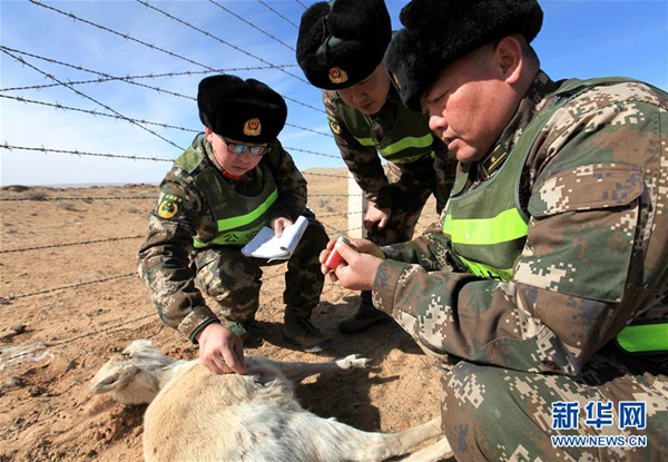 North China police protecting wildlife in border areas