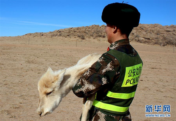 North China police protecting wildlife in border areas