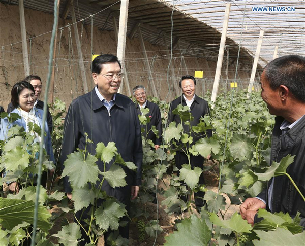 Top legislator stresses implementation of food safety law