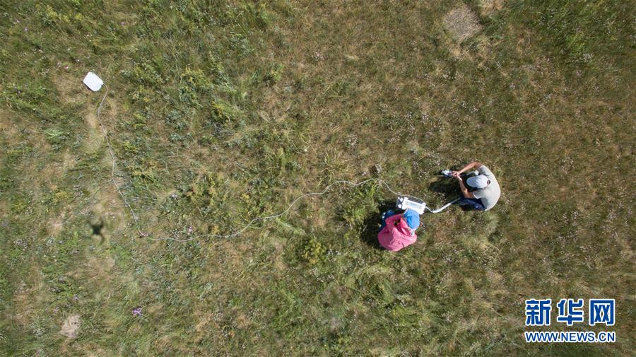 Ecological grass-ranch experiment in Hulunbeir prairie